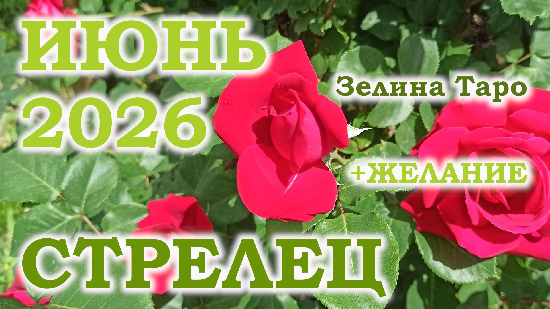 СТРЕЛЕЦ | ТАРО прогноз на ИЮНЬ 2026 года | Желание | Расклад таро смотреть онлайн