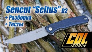 Sencut “Scitus” D2