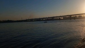 Утром  птички