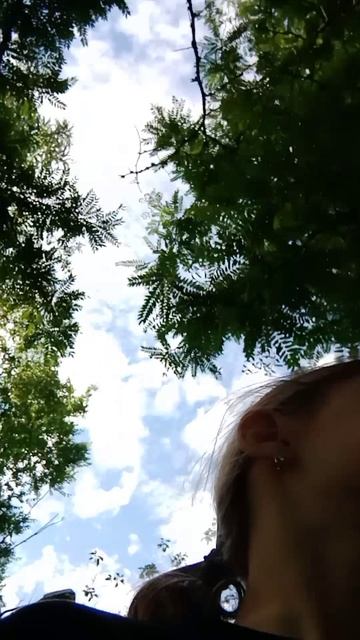 Video_20260603_174431.mp4