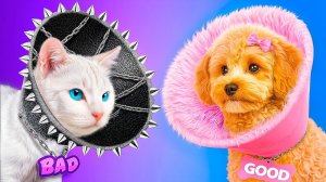 Мы построили секретные домики для питомцев! Хорошая собака vs плохая кошка!