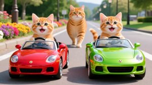 Мама-кошка подстригает шерсть на ферме и делает тигровую шапку для котят дома🐾🎩🐯