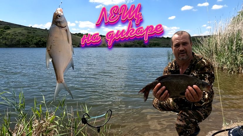 РЫБАЛКА на ЛЕЩА на Диком водоёме. Щука на поплавок смотреть онлайн
