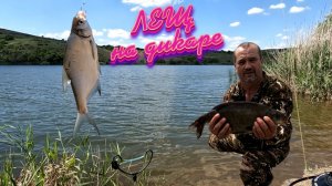 РЫБАЛКА на ЛЕЩА на Диком водоёме. Щука на поплавок