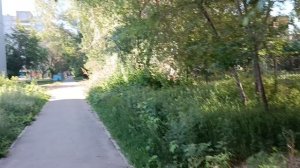 Немного анекдотов