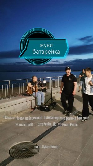 жуки - батарейка на новой набережной Тольятти
