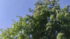 4  июня магический ☀️ подарок от волшебника Ивана Ивановича Кулебякина из Москвы