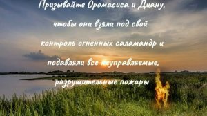 Саламандры - элементалы Огня.