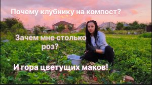 Бесконечные, но приятные заботы в саду!