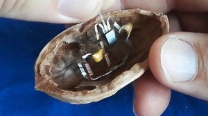Радиоприемник в Грецком орехе Как такое сделать самому