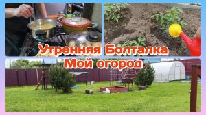 Мой огород/Готовлю.Болтаю с Вами и с мужем  Часть 1