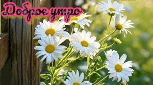 Доброе летнее утро! Красивая музыкальная открытка.