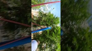 погоня не знаю почему такое название но почему-то