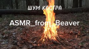 Шум костра.