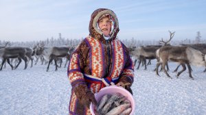 СЕКРЕТНОЕ ЛАКОМСТВО ОЛЕНЕЙ: РЫБНАЯ МУКА ПО-ЯМАЛЬСКИ