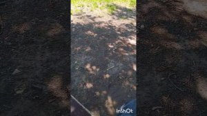 Домовые в нашей жизни..