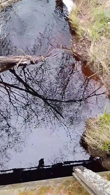 Откуда берутся реки.