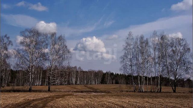 5848983 смотреть онлайн