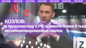В Минприроды назвали количество незаконных свалок в России за прошлый год