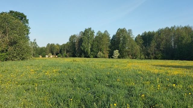 1000071735.mp4 смотреть онлайн