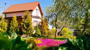 Дом среди цветов ☕🌸 | Уют деревенской жизни