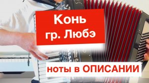 Конь гр. Любэ на Баяне и Аккордеоне  -  Выйду ночь в поле с конем