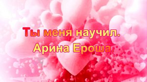 Ты меня научил. Арина Ероша.