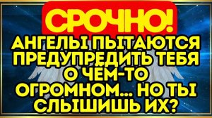 🚨 СРОЧНО! Ангелы пытаются предупредить тебя о чём-то ОГРОМНОМ… Но ты слышишь их#