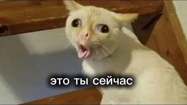 это надо зделать смотреть онлайн