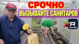 Простая жизнь Ольги с Зауралья /Срочно вызывайте санитаров