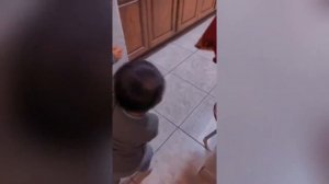 Просто истерика лучшие приколы