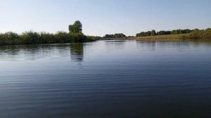 белки, голуби, ремонт, рыбалка
