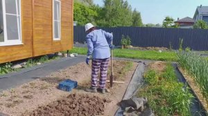 Шесть метров грядки одним рывком. Дневник за 4 июня