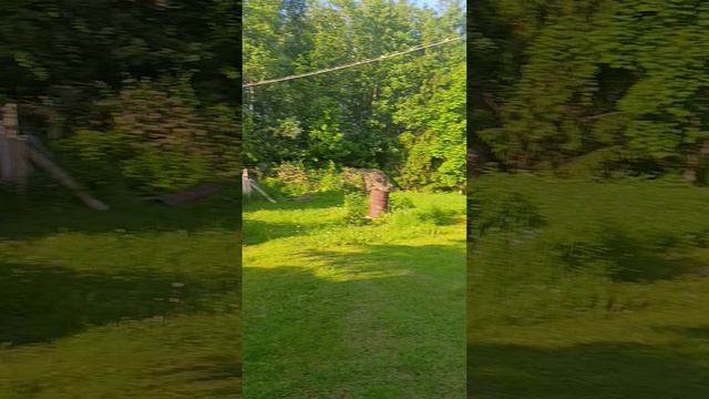 41104.mp4 смотреть онлайн