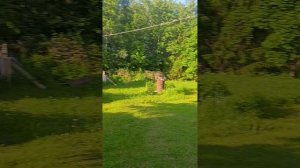 41104.mp4