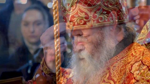 Единственный особенный любимый!
