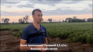 Агрифул Плюс от засоленности почв в Ростовской области