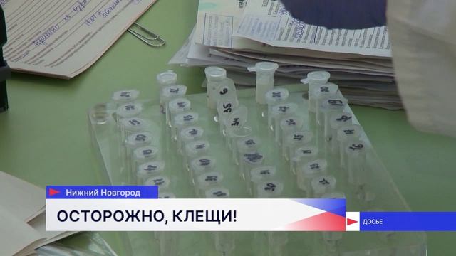 Больше 2,8 тысяч нижегородцев обратились в медучреждения с жалобами на укус клеща смотреть онлайн