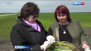 8.06 – Вести утро от 04.06.2026г.