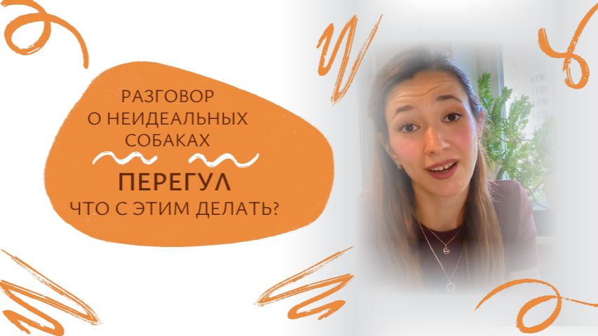 Собака тянет поводок и не слышит команды - что делать с перегулом? | Разговор о неИдеальных собаках смотреть онлайн