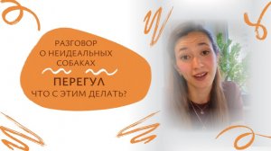 Собака тянет поводок и не слышит команды - что делать с перегулом? | Разговор о неИдеальных собаках