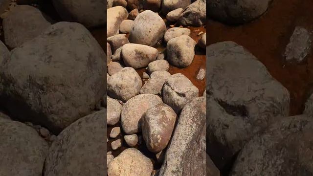 lv_0_20260604195401.mp4 смотреть онлайн