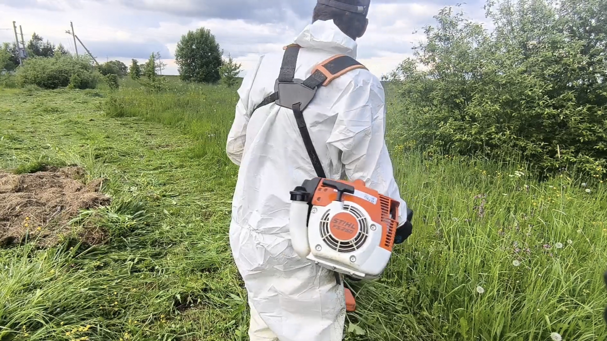 STIHL FS 250 (Первый сенокос высокой травы)