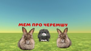 МЕМ ПРО ЧЕРЕМШУ