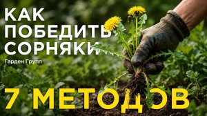 Как победить сорняки раз и навсегда: 7 методов от ландшафтного дизайнера