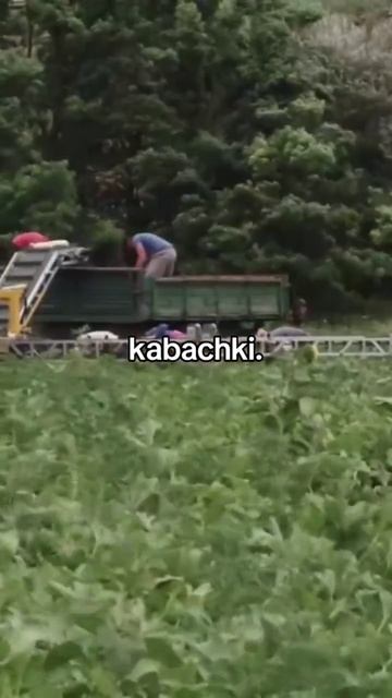 Думайте.