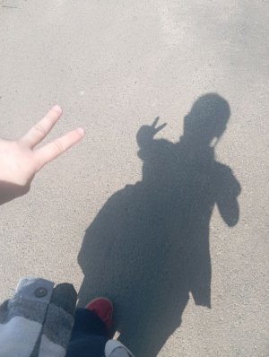 Сборы на тренировку