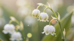 Ландыши Первая весна 6 серия Драма Обзор Краткий Пересказ сюжета Содержание серии Суть