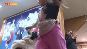 ПРЕДСТАВЛЕНИЕ С ДРЕССИРОВАННЫМИ СОБАКАМИ ПРОВЕЛИ ДЛЯ ВОСПИТАННИКОВ ЦЕНТРА «СЕМЬЯ» • НОВОСТИ КАМЧАТКИ