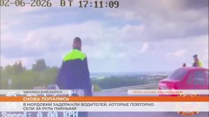 Автоинспекторы Мордовии задержали двух любителей выпить за рулем